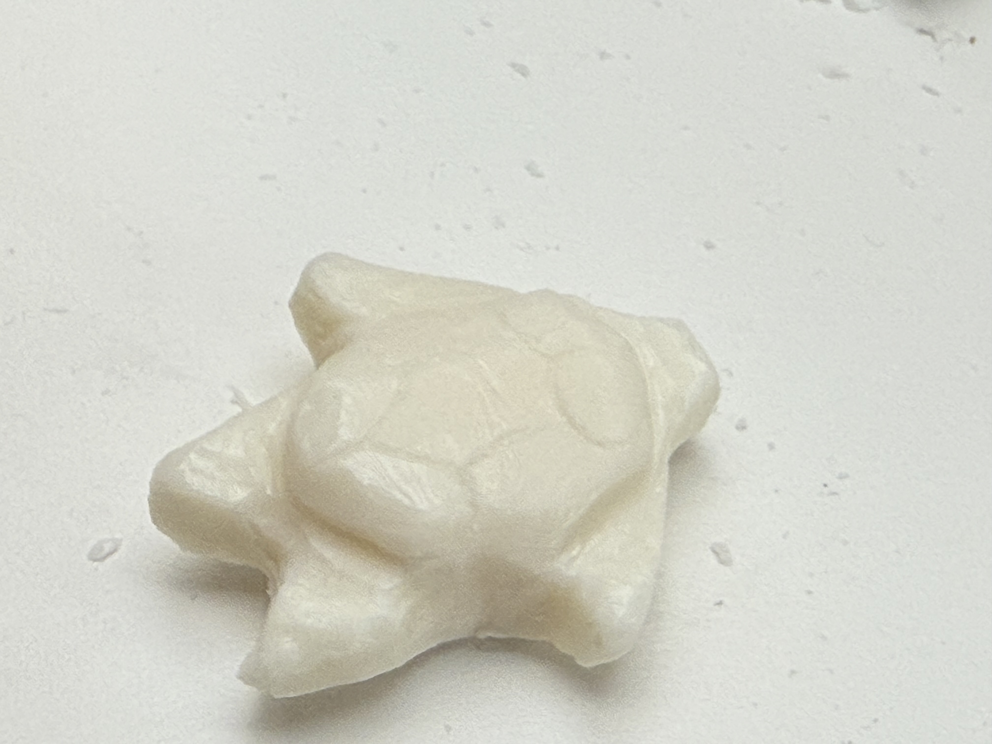 First Thursday Turtle